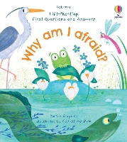 Book Cover for Why Am I Afraid? by Katie Daynes