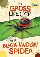 Book Cover for The Gross Life Cycle of a Black Widow Spider by William Anthony, Amy Li