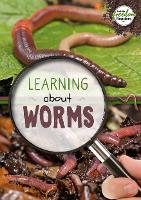 Book Cover for Learning About Worms by Holly Duhig
