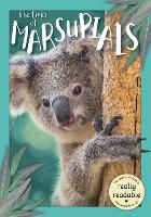 Book Cover for The Lives of Marsupials by Madeline Tyler