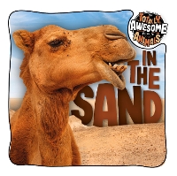 Book Cover for In the Sand by Brenda McHale, Dan Scase