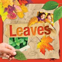Book Cover for Leaves by Steffi Cavell-Clarke