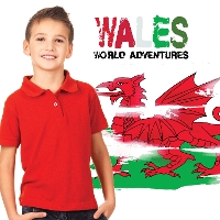 Book Cover for Wales by Harriet Brundle, Evie Wright
