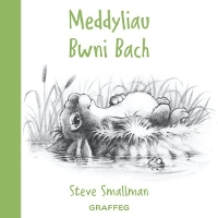 Book Cover for Meddyliau Bwni Bach by Steve Smallman