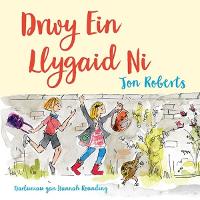 Book Cover for Drwy Ein Llygaid Ni by Jon Roberts