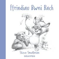 Book Cover for Ffrindiau Bwni Bach by Steve Smallman