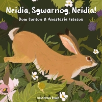Book Cover for Neidia, Sgwarnog, Neidia! by Dom Conlon