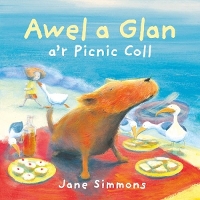 Book Cover for Awel a Glan A'r Picnic Coll by Jane Simmons