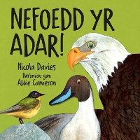 Book Cover for Nefoedd Yr Adar! by Nicola Davies