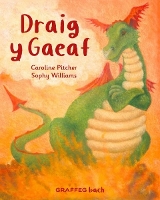 Book Cover for Draig y Gaeaf by Caroline Pitcher