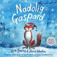 Book Cover for Nadolig Gaspard by Zeb Soanes