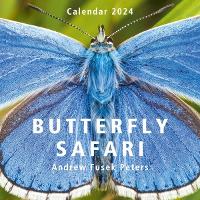 Book Cover for Butterfly Safari Calendar 2024 by Andrew Fusek Peters