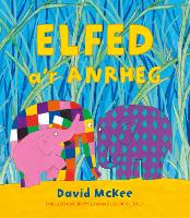 Book Cover for Elfed A'r Anrheg by David McKee