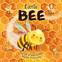 Book Cover for Little Bee by Autumn Publishing