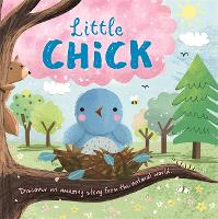 Book Cover for Little Chick by Igloo Books