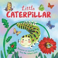 Book Cover for Little Caterpillar by Autumn Publishing
