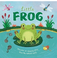 Book Cover for Little Frog by Autumn Publishing