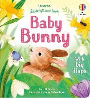 Book Cover for Little Lift and Look Baby Bunny by Anna Milbourne