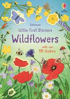 Book Cover for Little First Stickers Wildflowers by Caroline Young