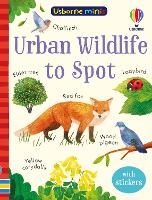 Book Cover for Urban Wildlife to Spot by Kate Nolan