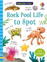 Book Cover for Rock Pool Life to Spot by Simon Tudhope