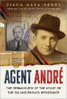 Book Cover for Agent André by Diana Mara Henry