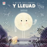 Book Cover for Noson Ddiflannodd y Lleuad, Y / Night the Moon Went Missing, The by Brendan Kearney