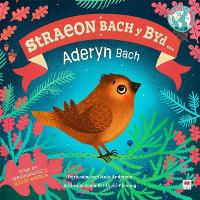 Book Cover for Aderyn Bach, Yr / Little Bird, The (Cyfres Straeon Bach y Byd) by DK