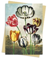 Book Cover for Temple of Flora: Tulips Greeting Card Pack by Flame Tree Studio