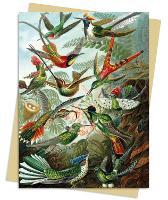 Book Cover for Ernst Haeckel: Hummingbirds Greeting Card Pack by Flame Tree Studio