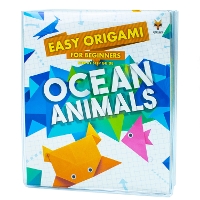 Book Cover for Step By Step Guide To Easy Origami For Beginners 8 Books Set Collection by Robyn Hardyman