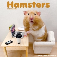 Book Cover for Hamsters Calendar 2024 Square Animal Wall Calendar - 16 Month by Avonside Publishing Ltd