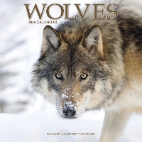 Book Cover for Wolves Calendar 2024 Square Animal Wall Calendar - 16 Month by Avonside Publishing Ltd