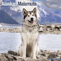 Book Cover for Alaskan Malamute Calendar 2025 Square Dog Breed Wall Calendar - 16 Month by 