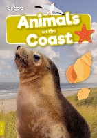 Book Cover for Animals on the Coast by Rebecca Phillips-Bartlett, Robin Twiddy