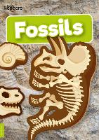 Book Cover for Fossils by Kirsty Holmes