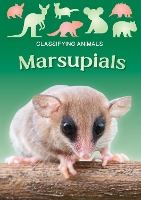 Book Cover for Marsupials by Madeline Tyler