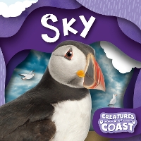 Book Cover for Sky by Robin Twiddy