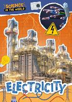 Book Cover for Electricity by Joanna Brundle