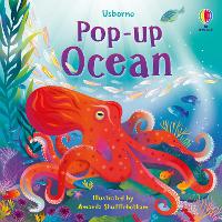 Book Cover for Pop-Up Ocean by Lizzie Cope