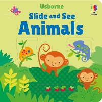 Book Cover for Slide and See Animals by Fiona Watt