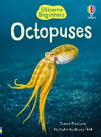 Book Cover for Beginners Octopuses by James Maclaine