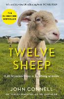 Book Cover for Twelve Sheep by John Connell