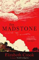 Book Cover for The Madstone by Elizabeth Crook