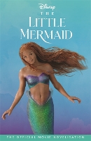Book Cover for The Little Mermaid by Disney Enterprises (1996- )