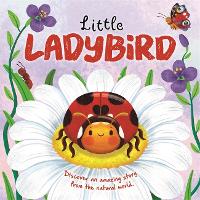 Book Cover for Little Ladybird by Autumn Publishing