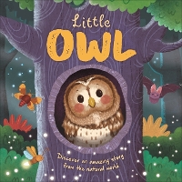Book Cover for Little Owl by Autumn Publishing