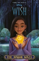 Book Cover for Disney Wish by Walt Disney