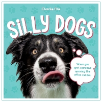 Book Cover for Silly Dogs by Summersdale Publishers