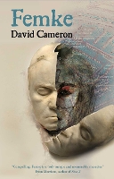 Book Cover for Femke by David Cameron